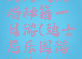 迪士尼乐园游戏攻略秘籍一日游(迪士尼乐园游玩攻略一日游)