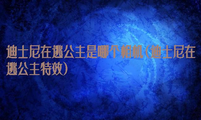 迪士尼在逃公主是哪个相机(迪士尼在逃公主特效)