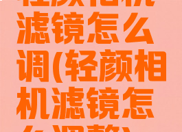 轻颜相机滤镜怎么调(轻颜相机滤镜怎么调整)