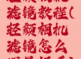 轻颜相机滤镜教程(轻颜相机滤镜怎么调最好看)