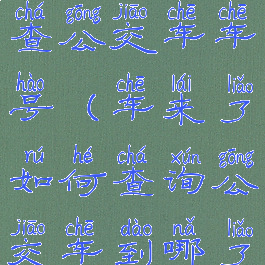 车来了怎么查公交车车号(车来了如何查询公交车到哪了)