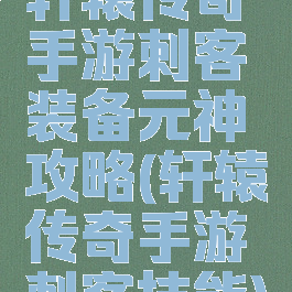 轩辕传奇手游刺客装备元神攻略(轩辕传奇手游刺客技能)