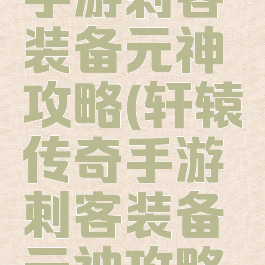 轩辕传奇手游刺客装备元神攻略(轩辕传奇手游刺客装备元神攻略大全)