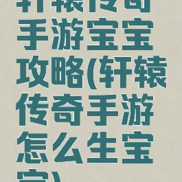 轩辕传奇手游宝宝攻略(轩辕传奇手游怎么生宝宝)