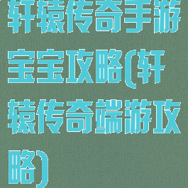 轩辕传奇手游宝宝攻略(轩辕传奇端游攻略)