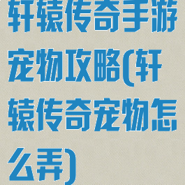 轩辕传奇手游宠物攻略(轩辕传奇宠物怎么弄)