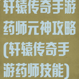 轩辕传奇手游药师元神攻略(轩辕传奇手游药师技能)