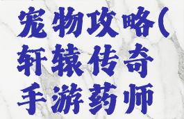 轩辕传奇手游药师宠物攻略(轩辕传奇手游药师带什么灵宠)