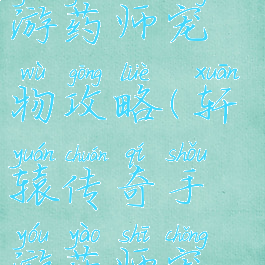 轩辕传奇手游药师宠物攻略(轩辕传奇手游药师宠物攻略图)