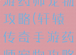 轩辕传奇手游药师宠物攻略(轩辕传奇手游药师宠物攻略大全)