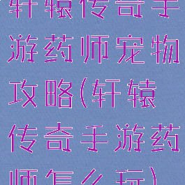轩辕传奇手游药师宠物攻略(轩辕传奇手游药师怎么玩)