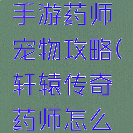 轩辕传奇手游药师宠物攻略(轩辕传奇药师怎么玩)