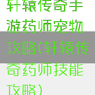 轩辕传奇手游药师宠物攻略(轩辕传奇药师技能攻略)