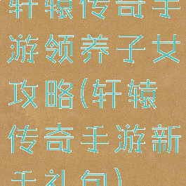 轩辕传奇手游领养子女攻略(轩辕传奇手游新手礼包)