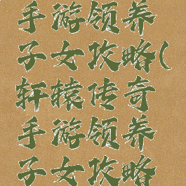 轩辕传奇手游领养子女攻略(轩辕传奇手游领养子女攻略视频)