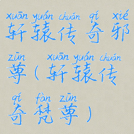 轩辕传奇邪尊(轩辕传奇梵尊)