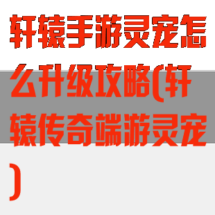 轩辕手游灵宠怎么升级攻略(轩辕传奇端游灵宠)