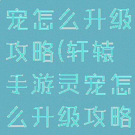 轩辕手游灵宠怎么升级攻略(轩辕手游灵宠怎么升级攻略图)