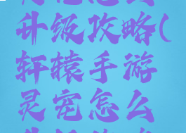 轩辕手游灵宠怎么升级攻略(轩辕手游灵宠怎么升级攻略视频)
