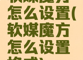 软媒魔方怎么设置(软媒魔方怎么设置格式)