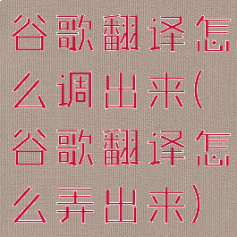 谷歌翻译怎么调出来(谷歌翻译怎么弄出来)