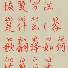 谷歌翻译恢复方法是什么(谷歌翻译如何恢复历史记录)