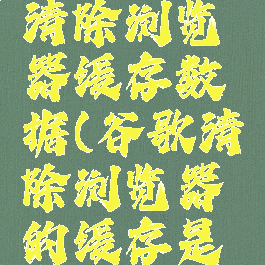 谷歌如何清除浏览器缓存数据(谷歌清除浏览器的缓存是怎么弄)