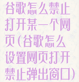 谷歌怎么禁止打开某一个网页(谷歌怎么设置网页打开禁止弹出窗口)