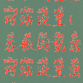 谷歌浏览器网站设置(谷歌浏览器网站设置密码)