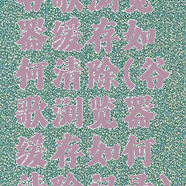 谷歌浏览器缓存如何清除(谷歌浏览器缓存如何清除记录)