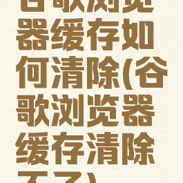 谷歌浏览器缓存如何清除(谷歌浏览器缓存清除不了)