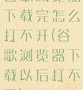 谷歌浏览器下载完怎么打不开(谷歌浏览器下载以后打不开)