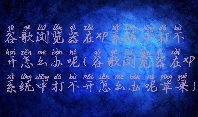谷歌浏览器在xp系统中打不开怎么办呢(谷歌浏览器在xp系统中打不开怎么办呢苹果)