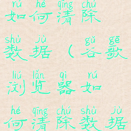 谷歌浏览器如何清除数据(谷歌浏览器如何清除数据缓存)