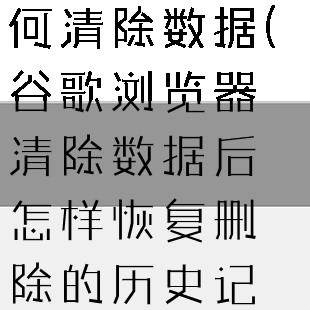 谷歌浏览器如何清除数据(谷歌浏览器清除数据后怎样恢复删除的历史记录)