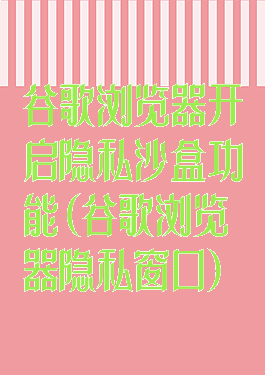 谷歌浏览器开启隐私沙盒功能(谷歌浏览器隐私窗口)