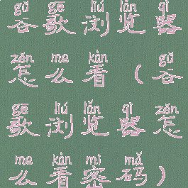 谷歌浏览器怎么看(谷歌浏览器怎么看密码)