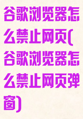 谷歌浏览器怎么禁止网页(谷歌浏览器怎么禁止网页弹窗)