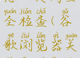 谷歌浏览器怎么关闭安全检查(谷歌浏览器关闭安全警告)