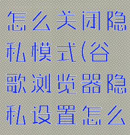 谷歌浏览器怎么关闭隐私模式(谷歌浏览器隐私设置怎么解除)