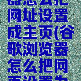 谷歌浏览器怎么把网址设置成主页(谷歌浏览器怎么把网页设置为主页)