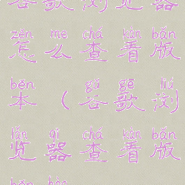 谷歌浏览器怎么查看版本(谷歌浏览器查看版本号)