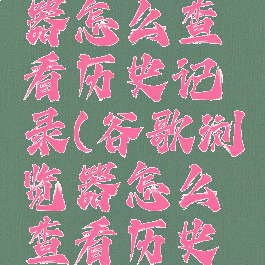 谷歌浏览器怎么查看历史记录(谷歌浏览器怎么查看历史记录的)