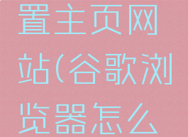 谷歌浏览器怎么设置主页网站(谷歌浏览器怎么设置主页网站链接)