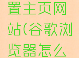 谷歌浏览器怎么设置主页网站(谷歌浏览器怎么设置网站首页)