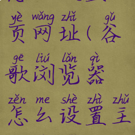 谷歌浏览器怎么设置主页网址(谷歌浏览器怎么设置主页网址链接)