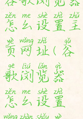 谷歌浏览器怎么设置主页网址(谷歌浏览器怎么设置网站首页)