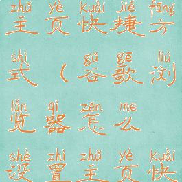 谷歌浏览器怎么设置主页快捷方式(谷歌浏览器怎么设置主页快捷方式图标)