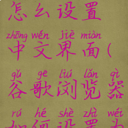 谷歌浏览器怎么设置中文界面(谷歌浏览器如何设置为中文)