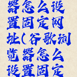 谷歌浏览器怎么设置固定网址(谷歌浏览器怎么设置固定网页)